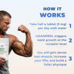 How ligandrol works