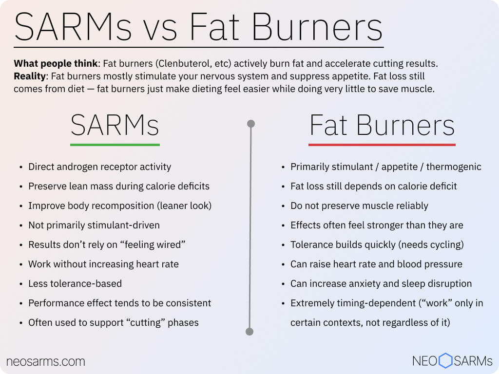 Comparison of SARMs vs fat burners (OTC)